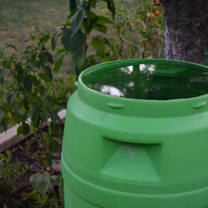 rain water harvesting on green container