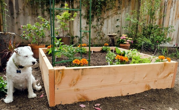 Raised Bed Garden Designs Raised Bed Garden Designs