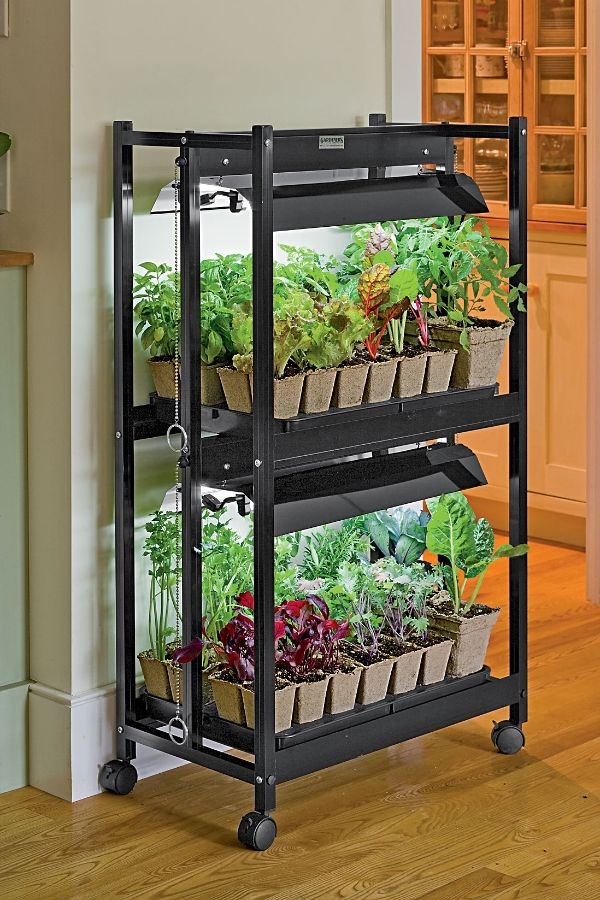 Reddit Indoor Container Gardening Reddit Indoor Container Gardening
