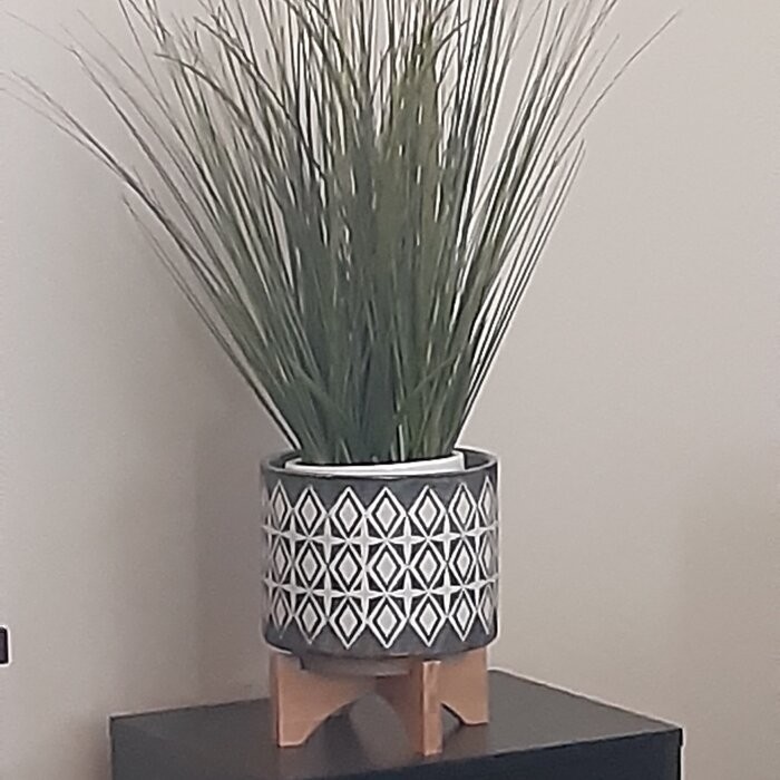 Roz Ceramic Pot Planter