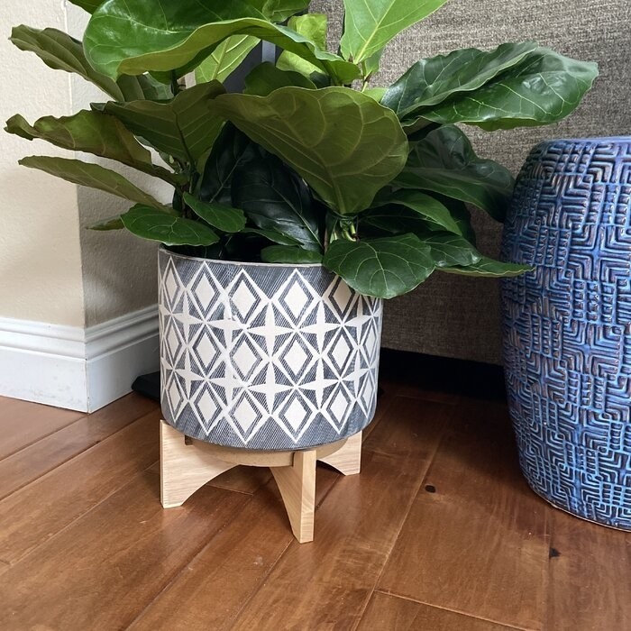 Roz Ceramic Pot Planter
