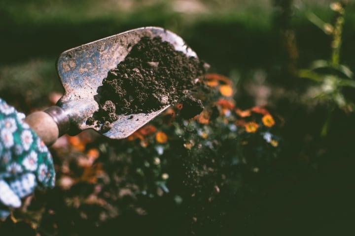 selecting the best soil type for plants