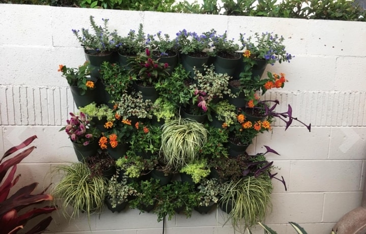 self watering outdoor living planted wall self watering outdoor living planted wall