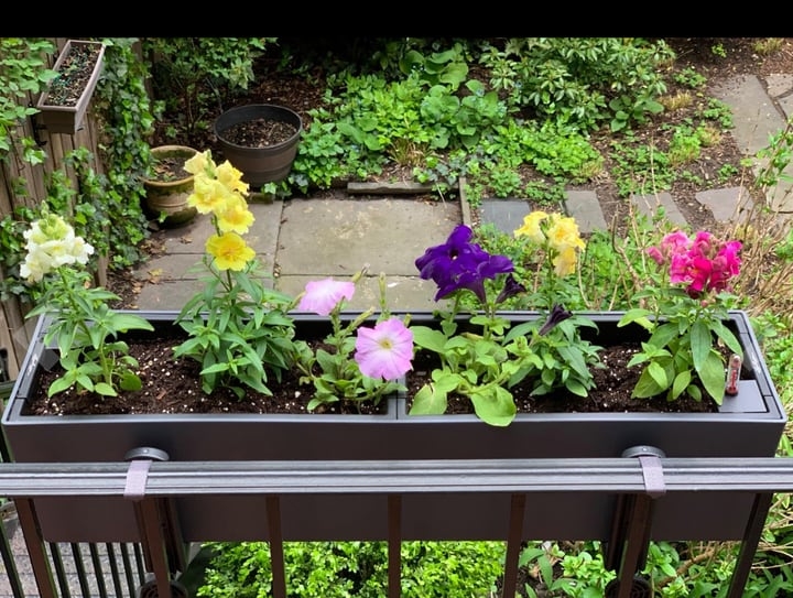 self watering rectangular balcony planter self watering rectangular balcony planter