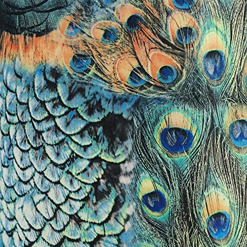 Set of 2 Peacock Print Medium Drum Lamp Shades 14" Top x 16" Bottom x 11" High (Spider) Replacement with Harp - Springcrest