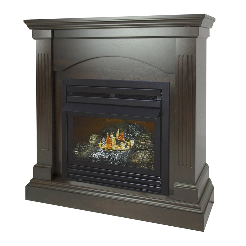 Shavon Vent Free Natural Gas/Propane Fireplace