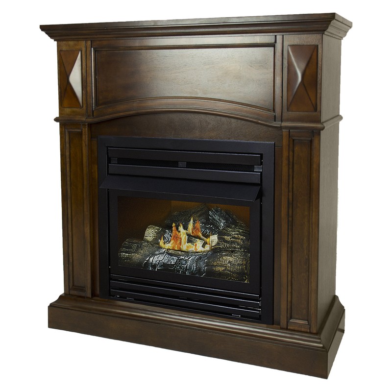 Shavon Vent Free Natural Gas/Propane Fireplace