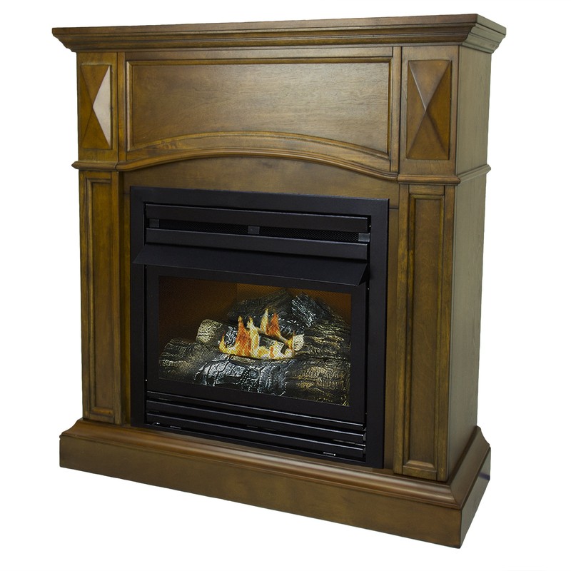 Shavon Vent Free Natural Gas/Propane Fireplace
