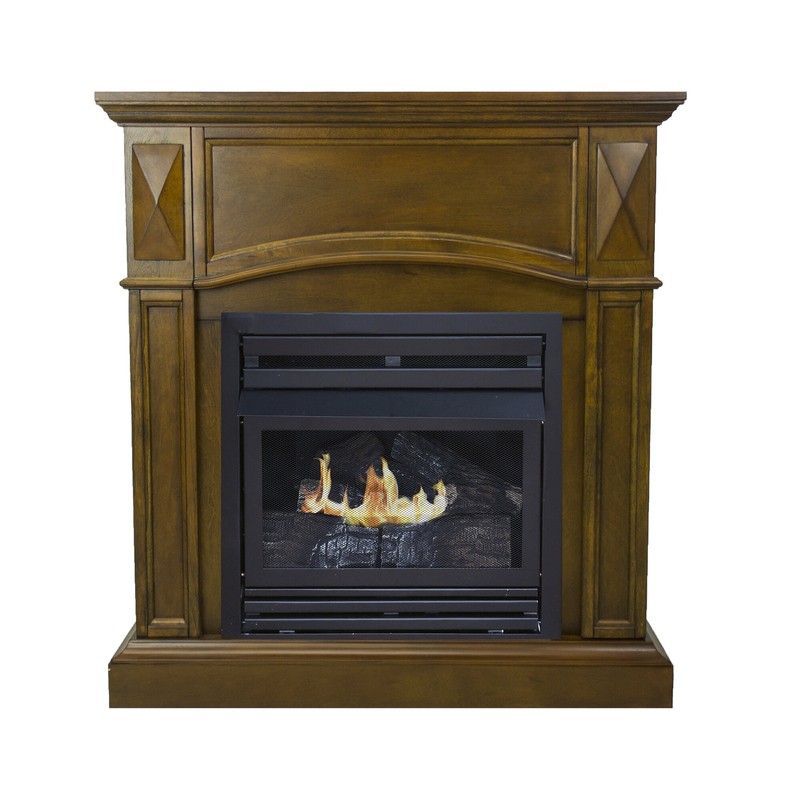 Shavon Vent Free Natural Gas/Propane Fireplace