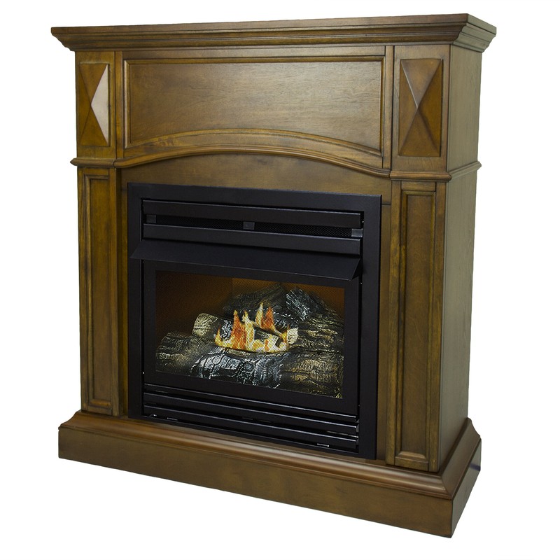 Shavon Vent Free Natural Gas/Propane Fireplace