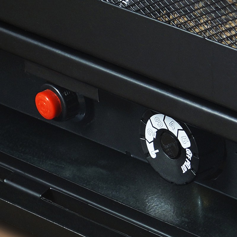 Shavon Vent Free Natural Gas/Propane Fireplace