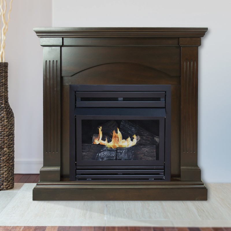 Shavon Vent Free Natural Gas/Propane Fireplace