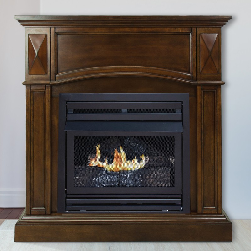 Shavon Vent Free Natural Gas/Propane Fireplace