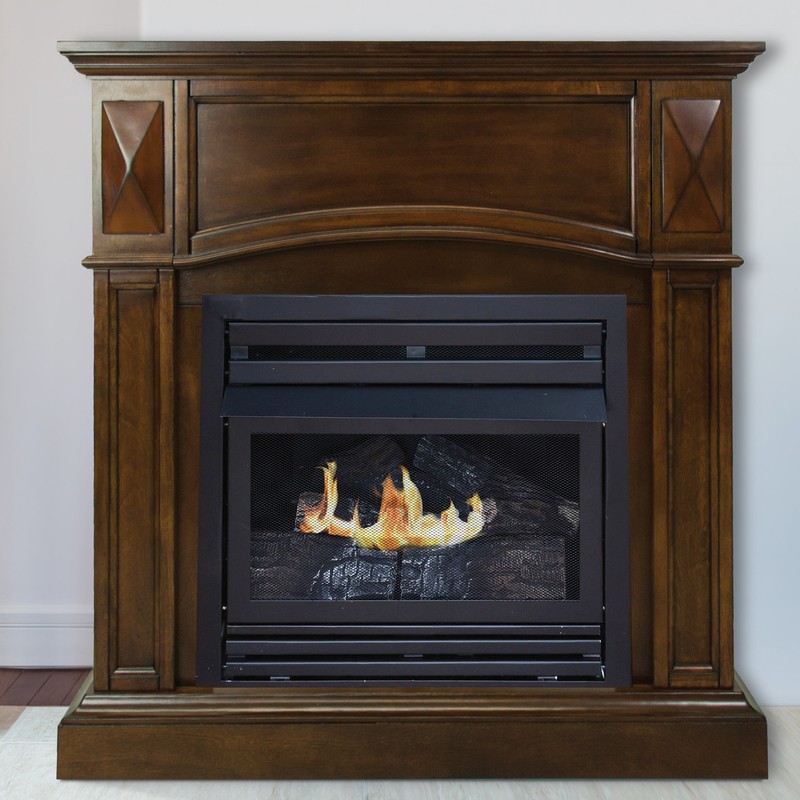 Shavon Vent Free Natural Gas/Propane Fireplace