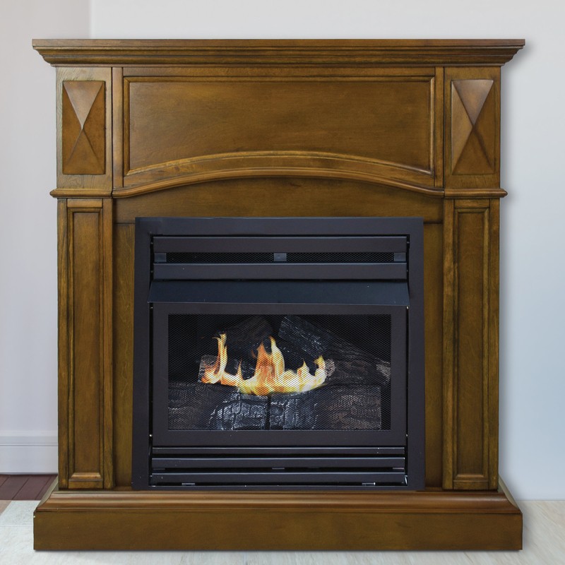 Shavon Vent Free Natural Gas/Propane Fireplace