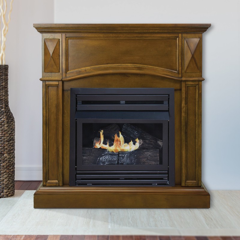Shavon Vent Free Natural Gas/Propane Fireplace