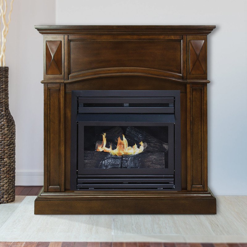 Shavon Vent Free Natural Gas/Propane Fireplace
