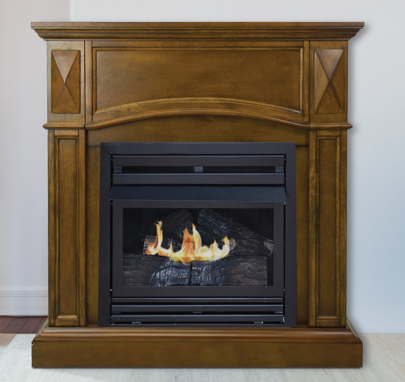 Shavon Vent Free Natural Gas/Propane Fireplace