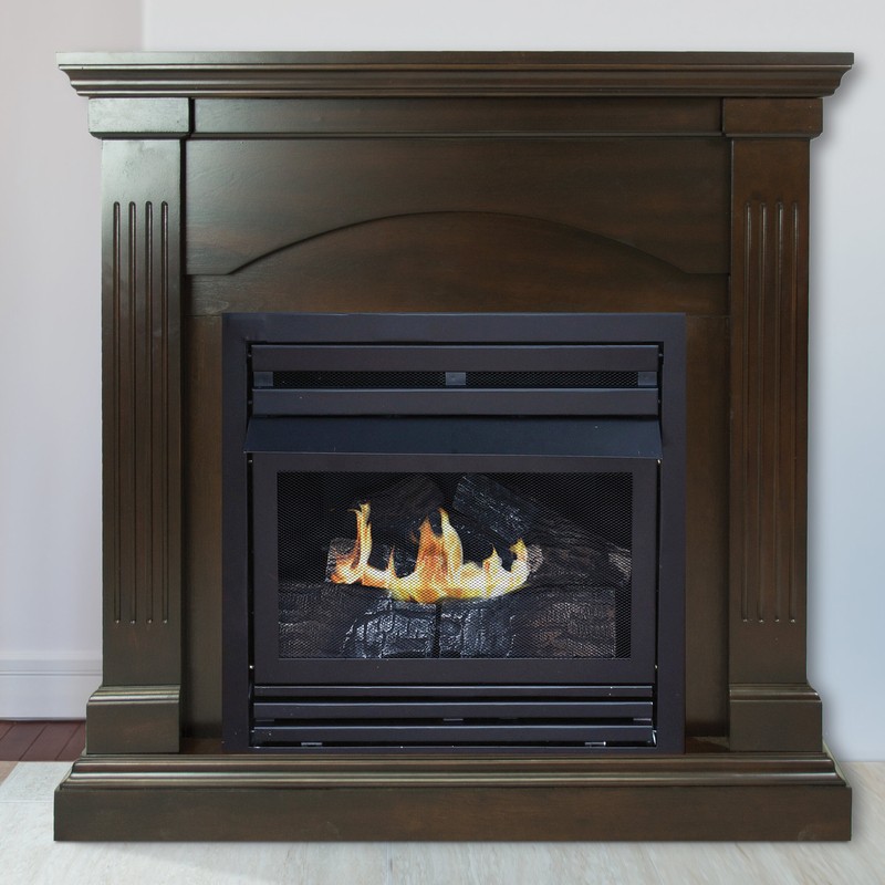 Shavon Vent Free Natural Gas/Propane Fireplace