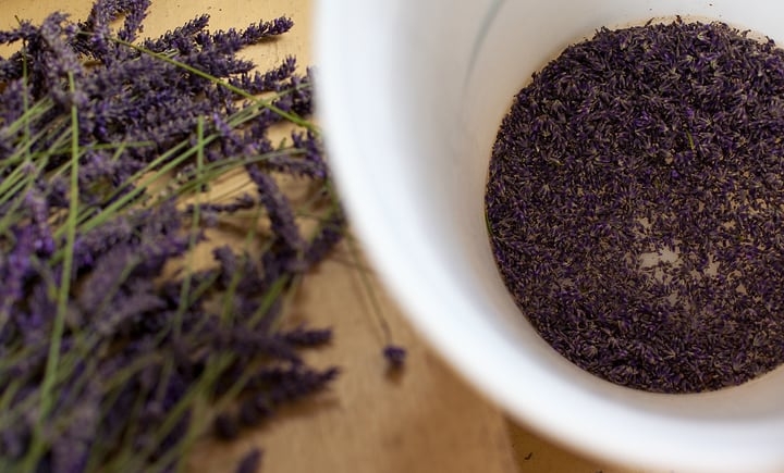 shelling dried lavender flower shelling dried lavender flower