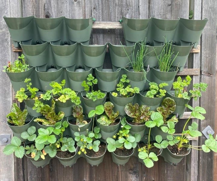 simple outdoor planted wall simple outdoor planted wall