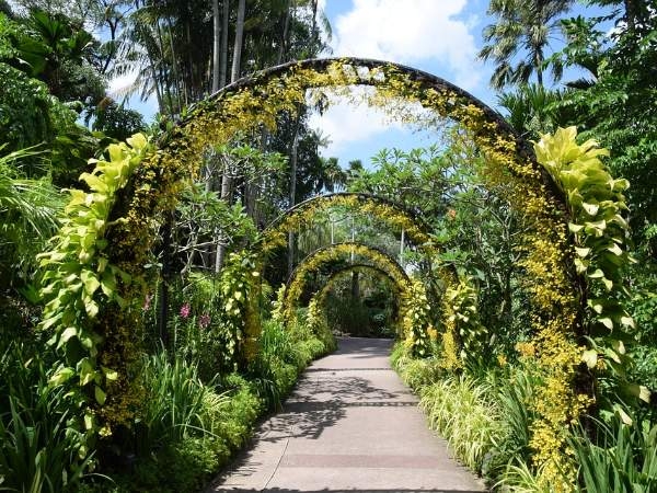 Singapore Botanic Gardens Singapore Botanic Gardens