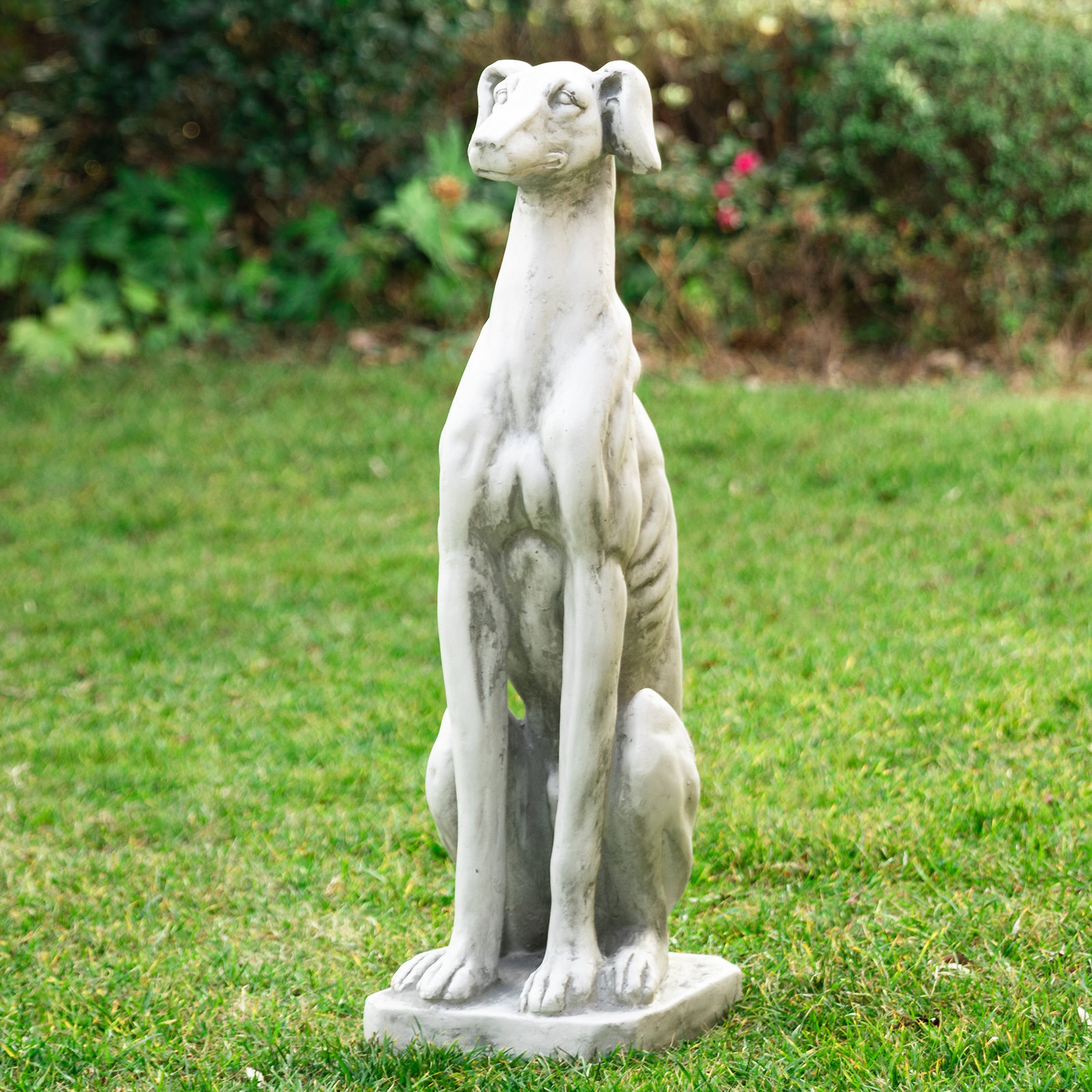 Slim and Regal Lifesize Greyhound Statue