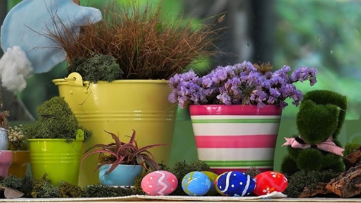 small and big plant pots small and big plant pots