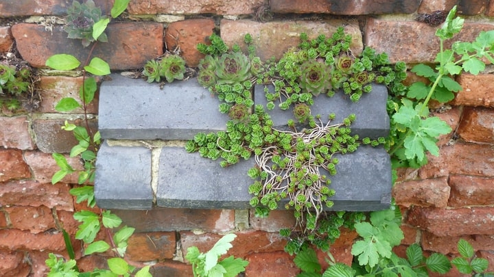 small brick garden wall small brick garden wall
