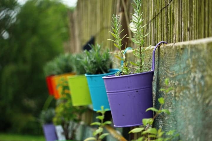small garden plant wall small garden plant wall