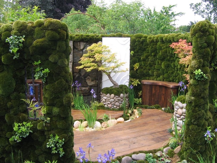 small japanese moss garden small japanese moss garden