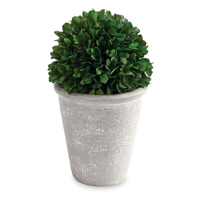 Small topiary with pot