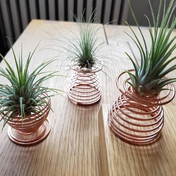 spiral plant stand spiral plant stand