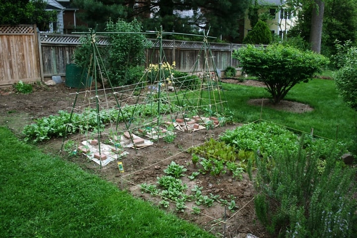 spring vegetable garden spring vegetable garden