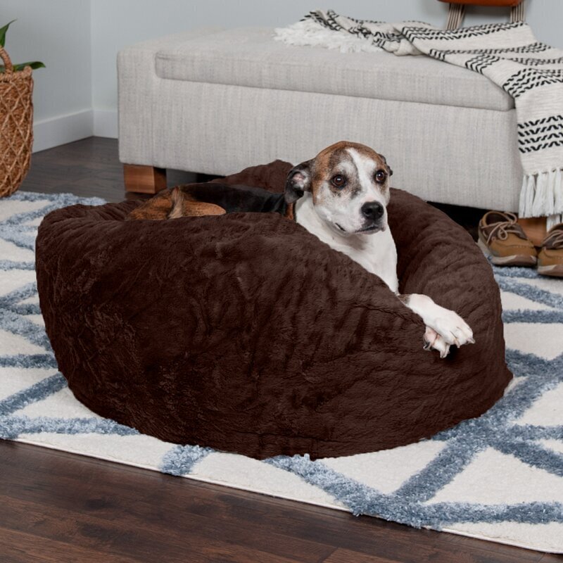 Squishy Bean Bag for Dogs