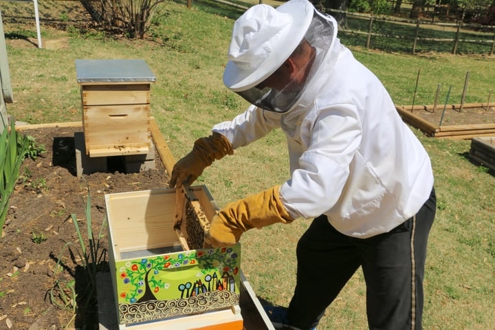 stacked langstroth hive stacked langstroth hive