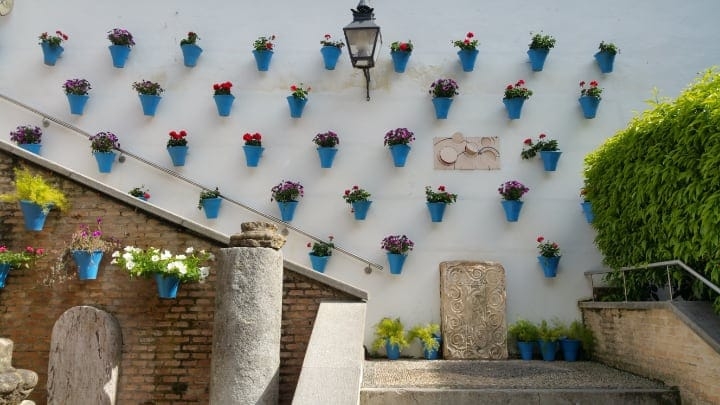 stair case plant wall stair case plant wall
