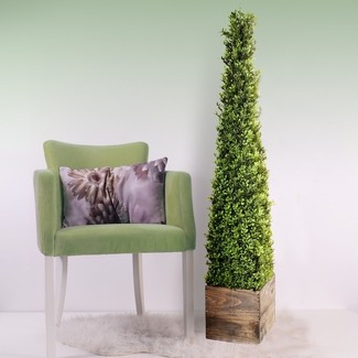 Topiary Trees For Sale - Foter
