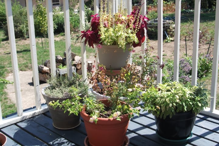 sunny plant pot deck sunny plant pot deck