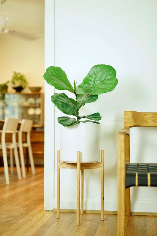 Tall Plant Stand Tall Plant Stand