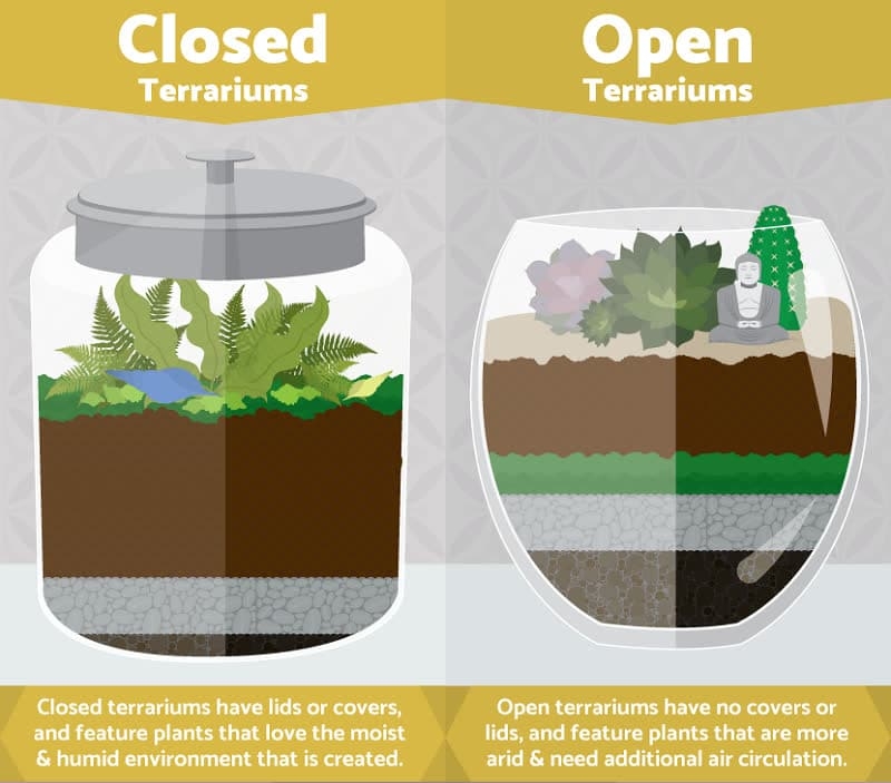 how to use adguard with terrarium