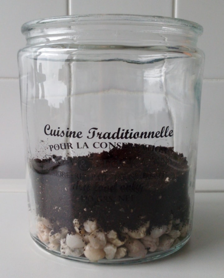 terrarium with pebble charcoal and sphagnum moss terrarium with pebble charcoal and sphagnum moss