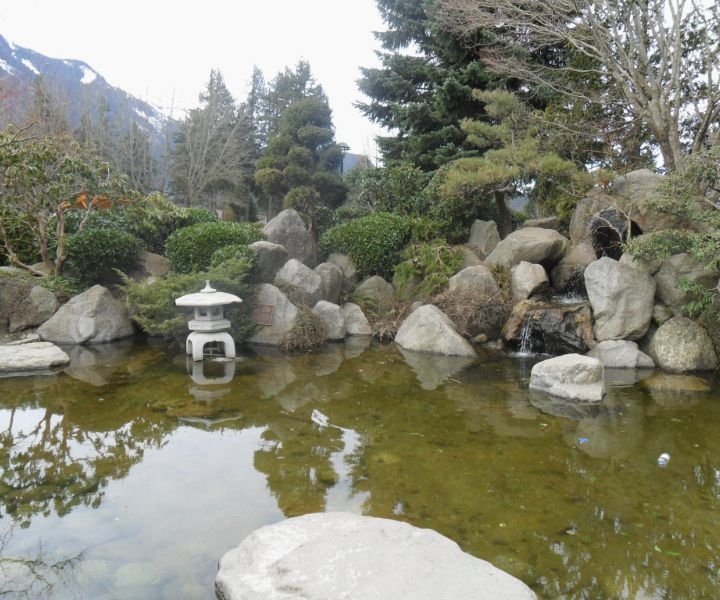 the japanese gardens the japanese gardens
