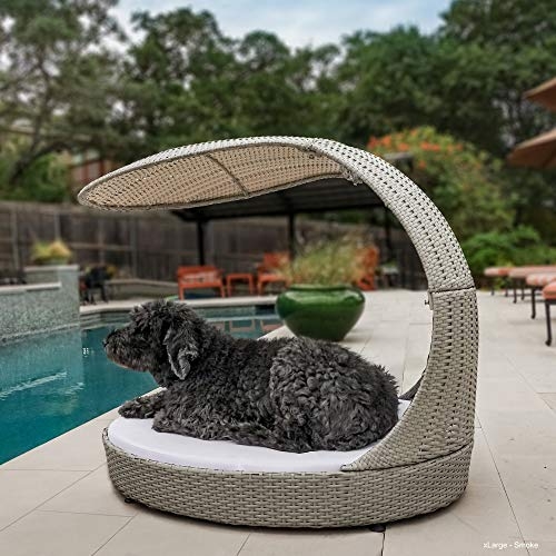 dog pool lounge chairs