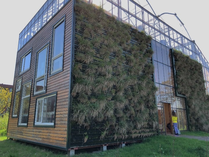 tiny house outdoor full wall vertical garden tiny house outdoor full wall vertical garden