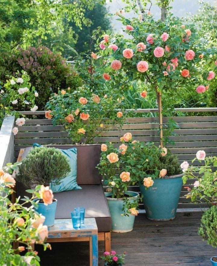 33 Great Balcony Garden Ideas With A DIY Balcony Guide - Foter