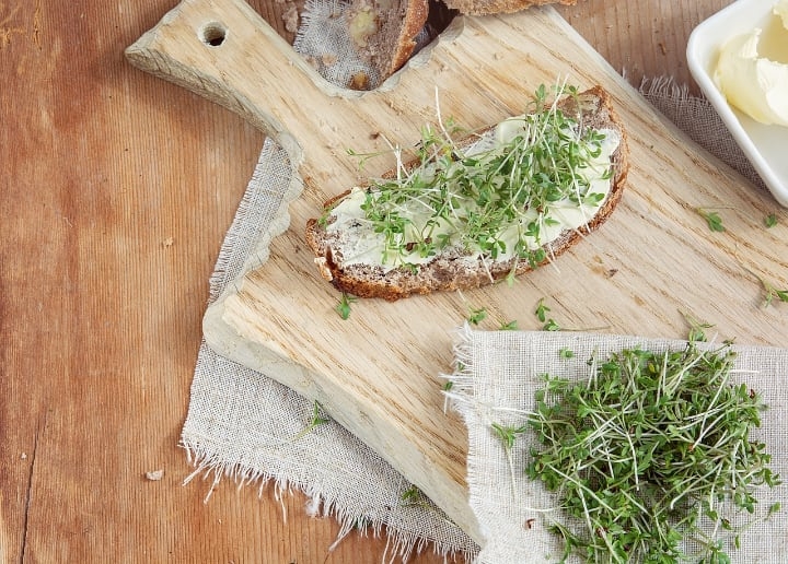toast with microgreens toast with microgreens