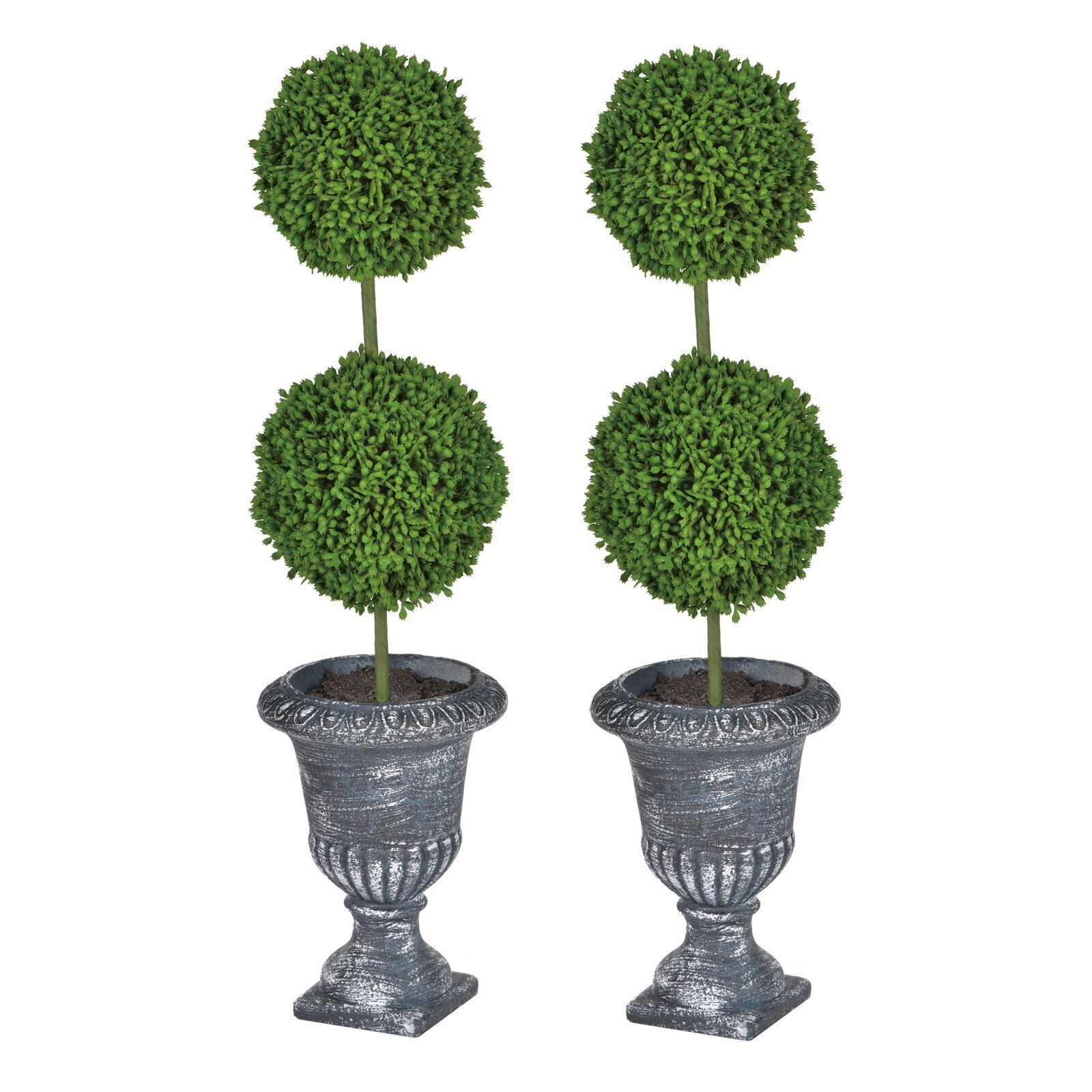 Boxwood Topiary