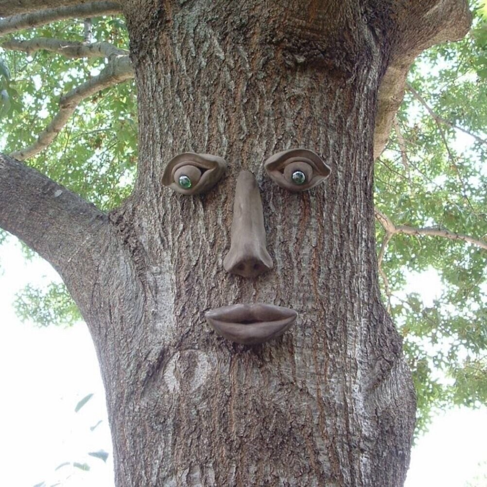 Tree Face Wall Décor
