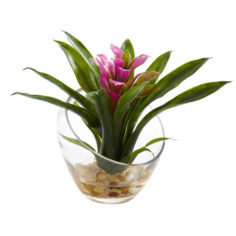 Tropical Bromeliad Floral Arrangement in Vase